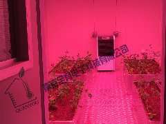 山东寿光全国蔬菜质量检